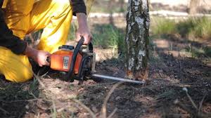 Best Utility Line Clearance  in Lathrop, MO